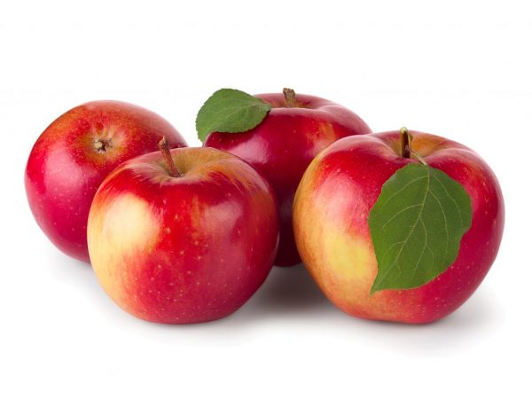 Gala äpplen - olika funktioner