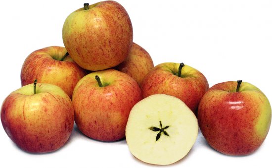 Gala cutaway ng apple apple