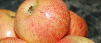 Äpplegodis - foto av äpplen