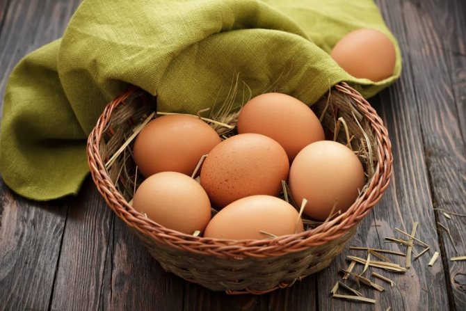 إنتاج البيض