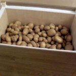 Cutie de cartofi pentru balcon