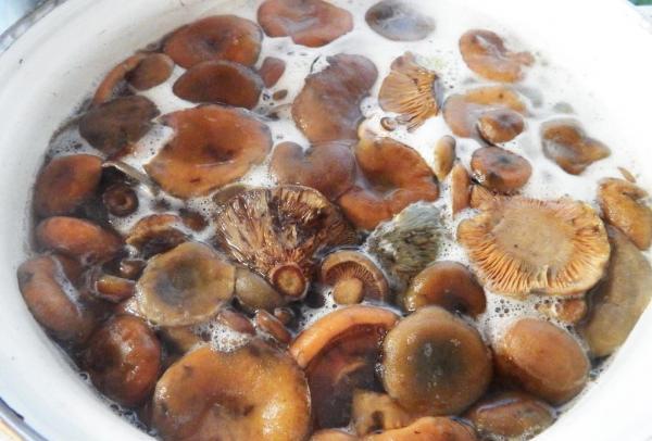 Fermented mushrooms