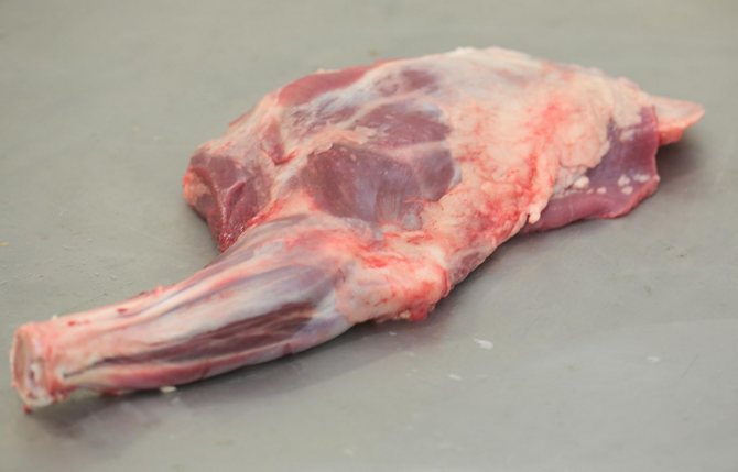 Goat meat hind leg