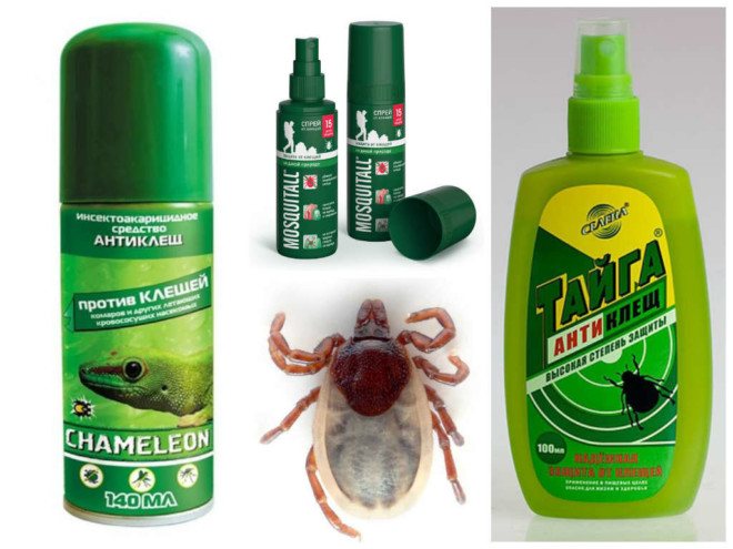 Protecting people from ticks