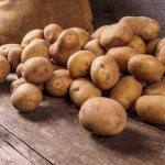 حصاد البطاطس الصحي