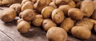 Здравословна реколта от картофи