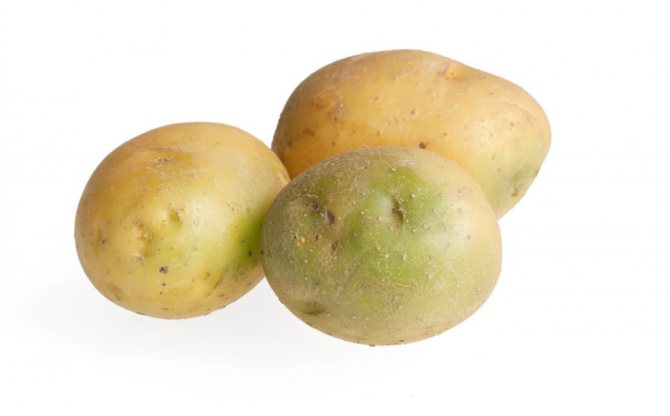 Зелени картофи: можете ли да ядете