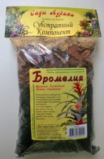 mark för bromeliads