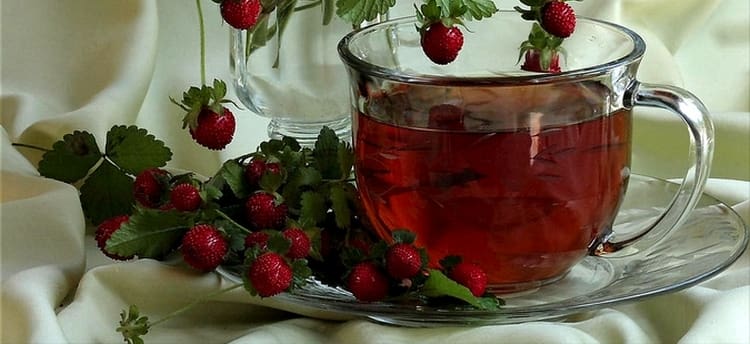 Dusheney strawberries are used for the preparation of decoctions and infusions.