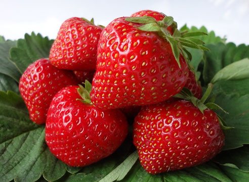 Strawberry Lambada