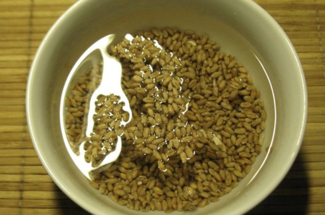 Cereale de germinare