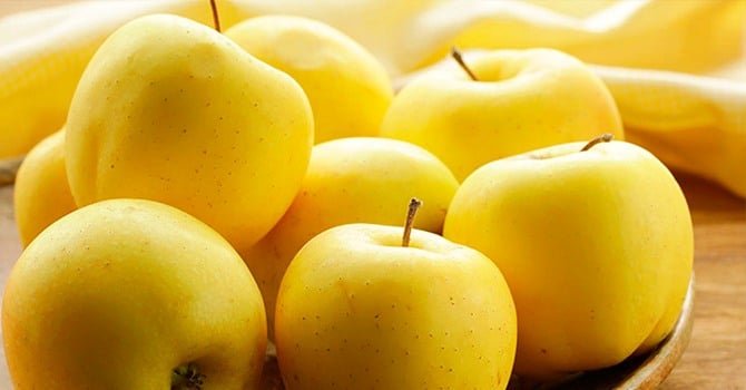 Жълти ябълки златисти