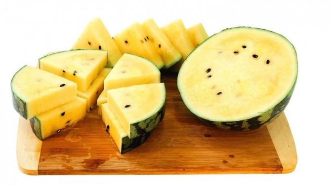 Yellow watermelon - a miracle of selection