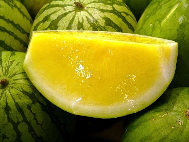 žlutý meloun