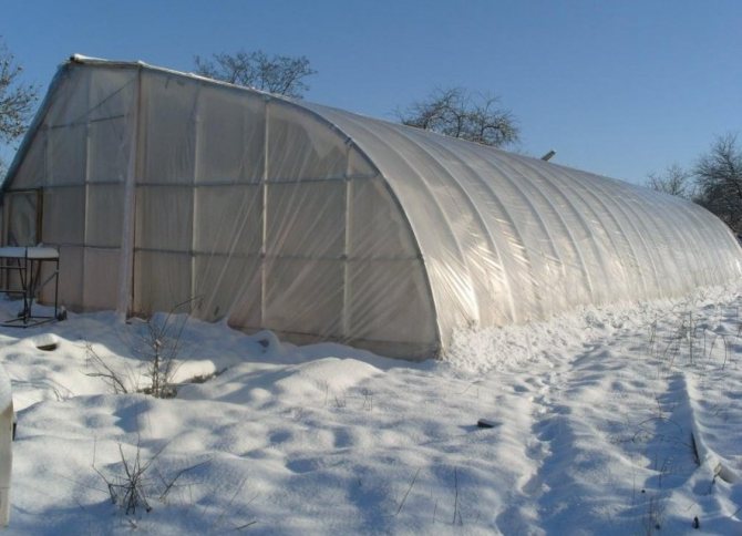 Winter greenhouse