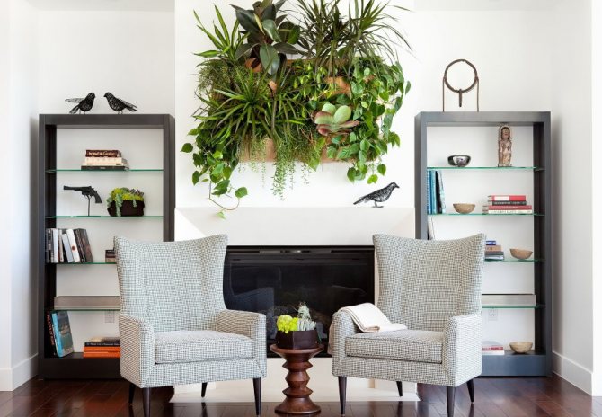 Living room seating area with a living picture of green plants